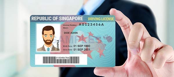 Support driver's license recognition and output of full-field information, for example, name and gender, address, initial date of issue, allowed driver vehicle types, date of expire, date of birth, nationality etc.